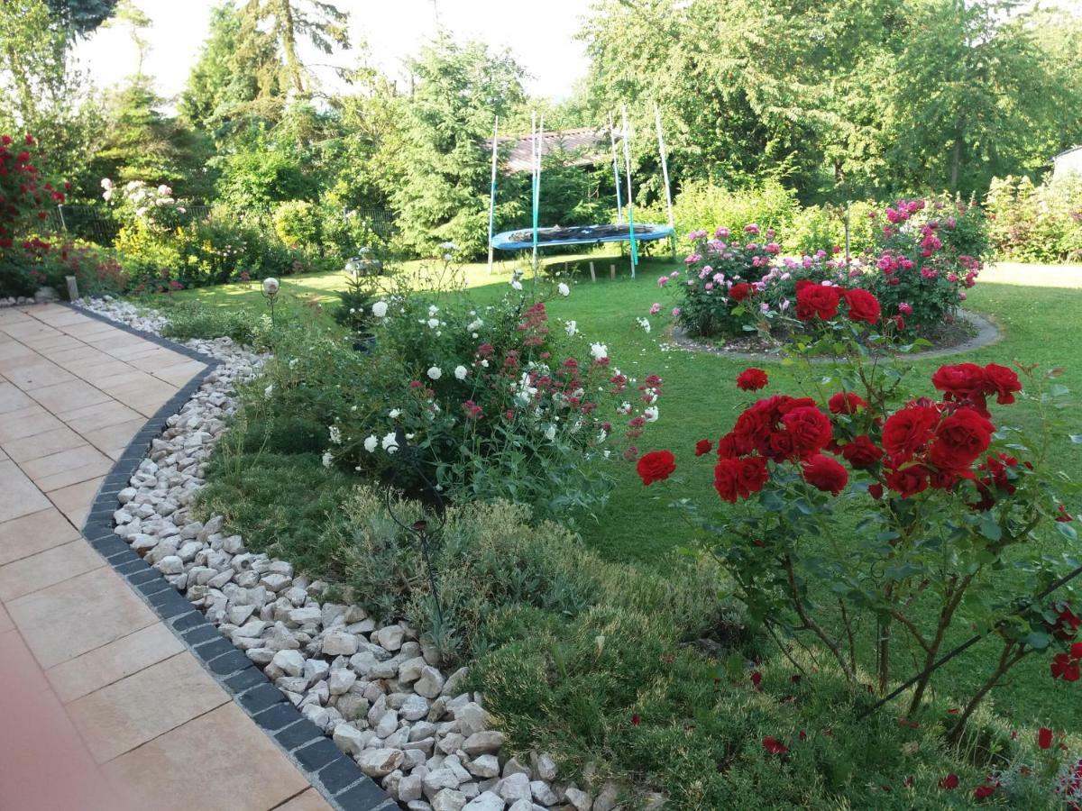 Ferienwohnung Lissner 잘렘 외부 사진